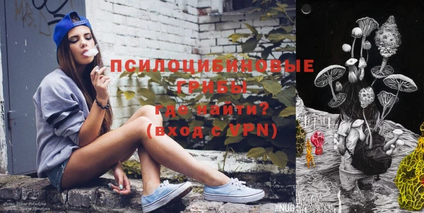 дмт Аркадак