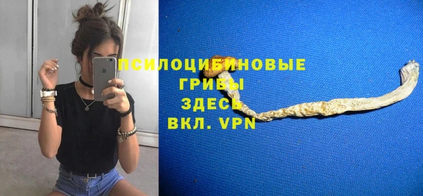кокс Арсеньев
