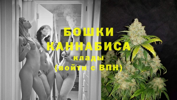 дмт Аркадак