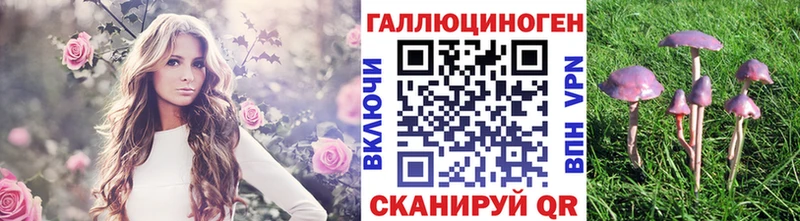 Псилоцибиновые грибы ЛСД  наркотики  мега как войти  Бирюсинск 